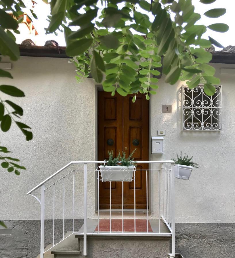 Rustico Rosmarino Villa Кастилион Фиорентино Екстериор снимка
